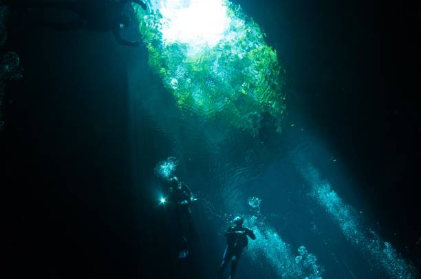 istock looking up at the foliage from below the water in the cenotes pit 696427618