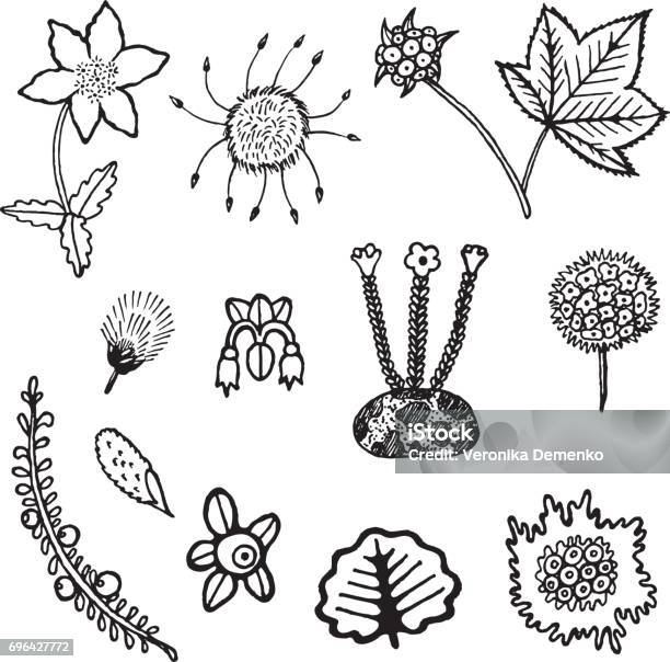 North Tundra Plant Element Collection Vector Hand Drawn Illustration Set For Design And Coloring Book Or Page Stock Illustration - Download Image Now