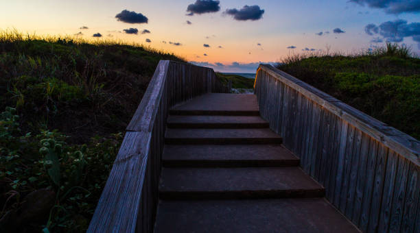 istock Pathway through sand dunes into the Paradise Beach Padre Island Texas USA 696431584
