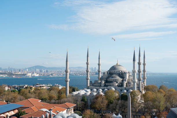 istock Blue Mosque Sultan Ahmet Camii in Istanbul - Turkey 696436828
