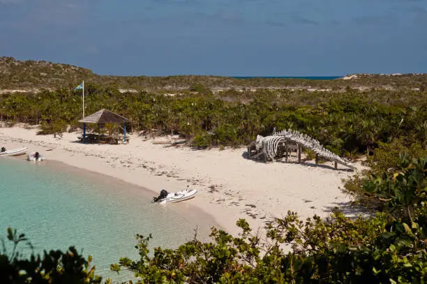 Horizontal photo from above of the deserted beach in warderick wells, exuma, bahamas.  large bones of whale are on the coast.