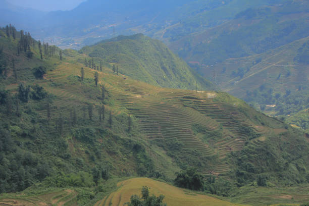 istock Beautiful mountain valley, Sa Pa 696445240