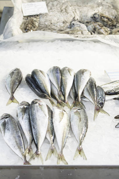 istock Variety of fish market 696446122
