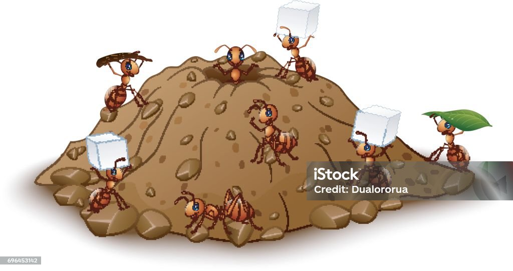 Cartoon ants colony with anthill Vector illustration of Cartoon ants colony with anthill Ant stock vector