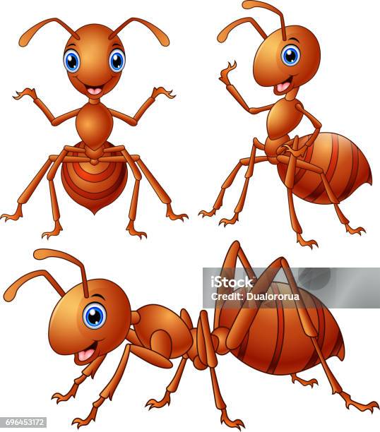 Set Of Brown Ants Cartoon Stock Illustration - Download Image Now - Ant, Cartoon, Acting - Performance