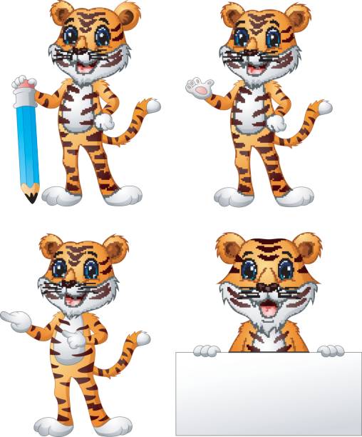 zestaw kreskówek tygrysa - tiger pointing vector cartoon stock illustrations