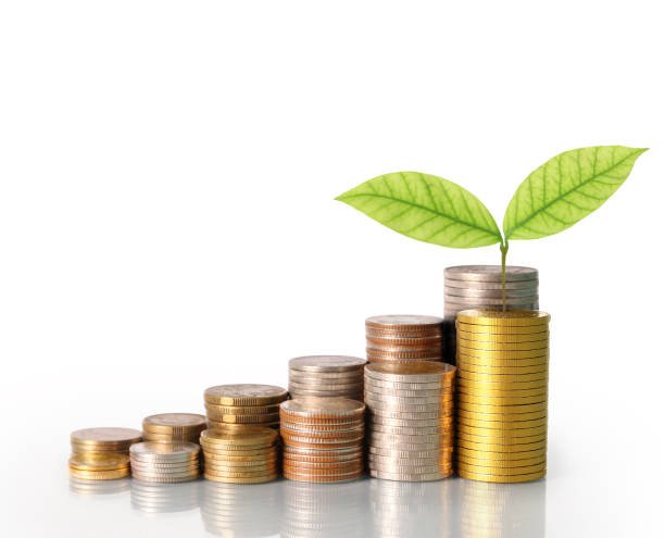 istock Investment concept, Coins graph stock 696456548