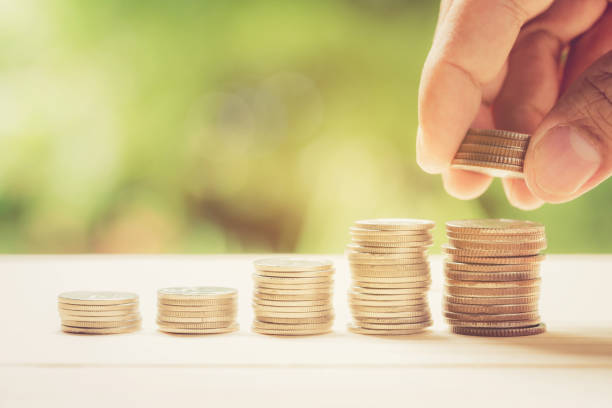 istock Money coins stack growing graph with hand holding coin sunlight nature background, business concept. 696456664