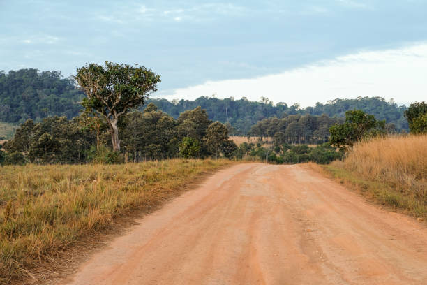 istock Dirt road among grass field and mountain scenic. 696457222
