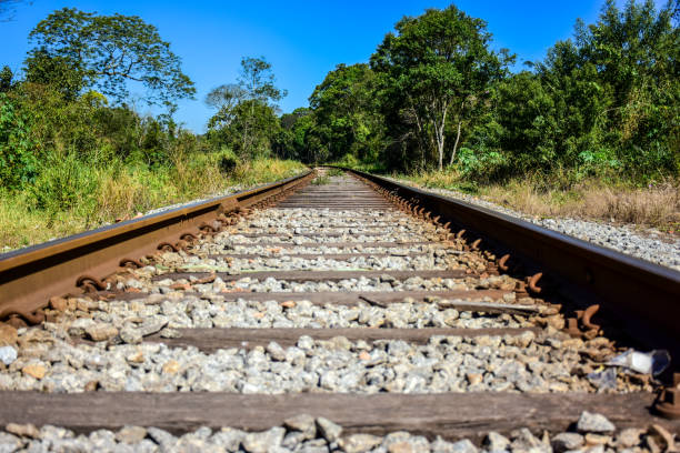 istock Railroad tracks and trains 696463748