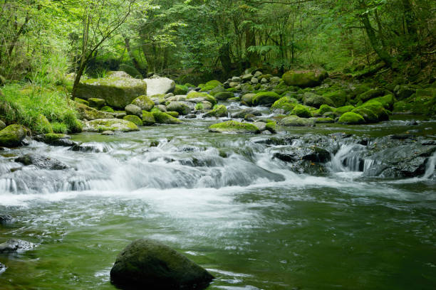 istock landscape of clear stream 696463908