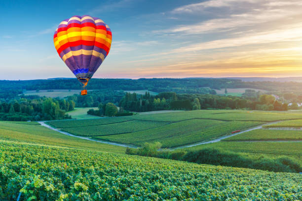 colorful hot air balloons flying over champagne vineyards at sunset montagne de reims, france - montagne sol imagens e fotografias de stock