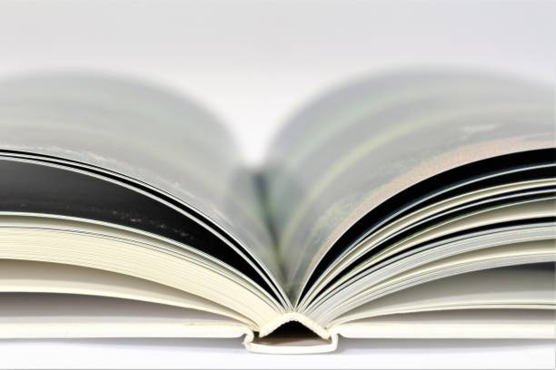 istock An image of book pages 696470522