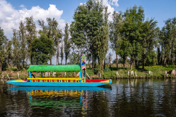 Colorful boat (also known as trajinera) at Xochimilco's Floating Gardens - Mexico City, Mexico MEXICO CITY, MEXICO - Oct 13, 2016: Colorful boat (also known as trajinera) at Xochimilco's Floating Gardens - Mexico City, Mexico trajinera stock pictures, royalty-free photos & images