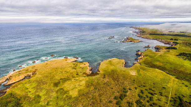 istock Northern California Coast 696471606