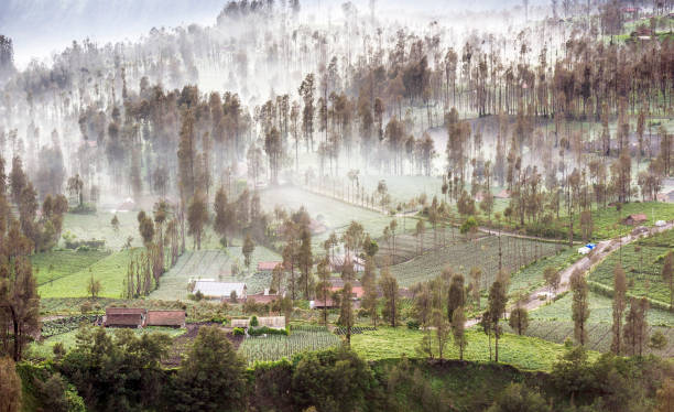 istock misty morning of Cemoro Lawang 696471712