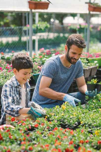 istock Father and son working in botanical garden together 696492796