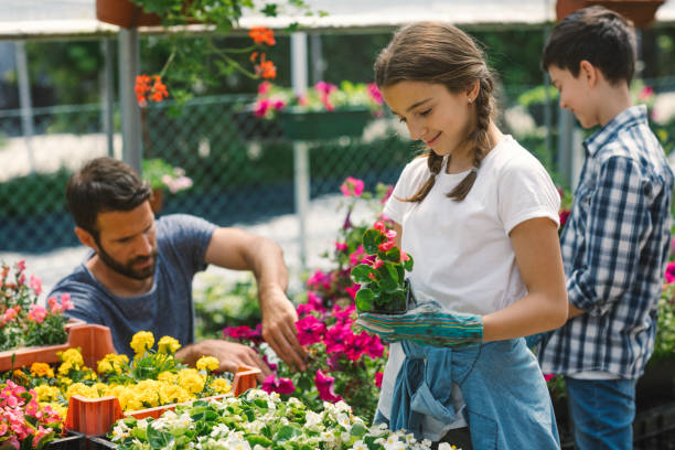 istock Family working in botanical garden together 696492900
