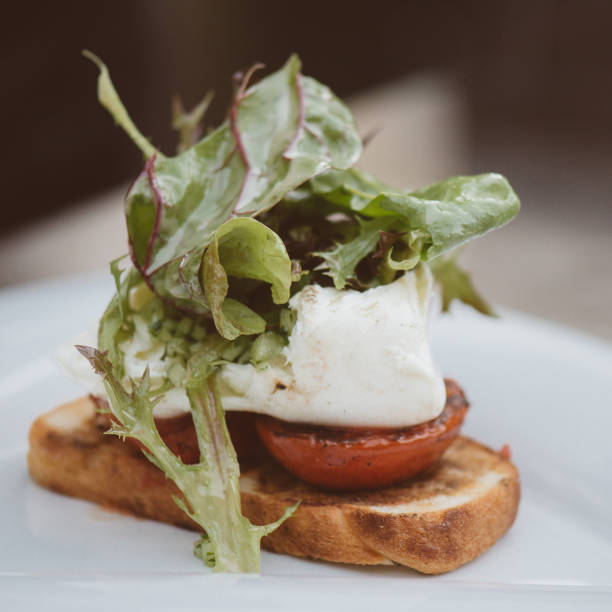 istock Grilled tomato and fresh mozzarella cheese with green salad 696496174