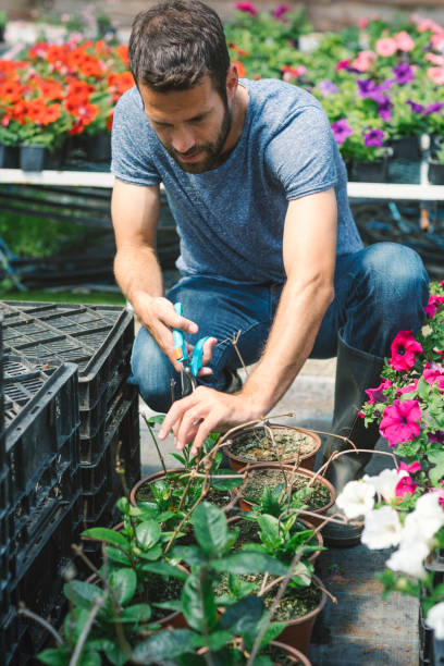 istock Mid adult man working in botanical garden 696496362