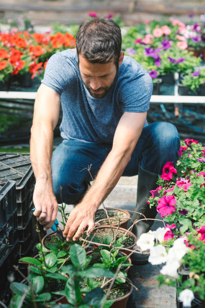 Mid adult man working in botanical garden