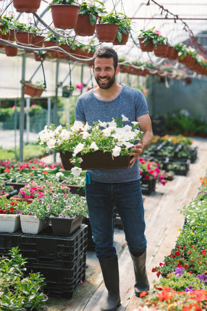 istock Mid adult man working in botanical garden 696496370