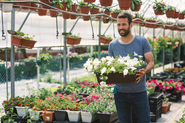 istock Mid adult man working in botanical garden 696496560