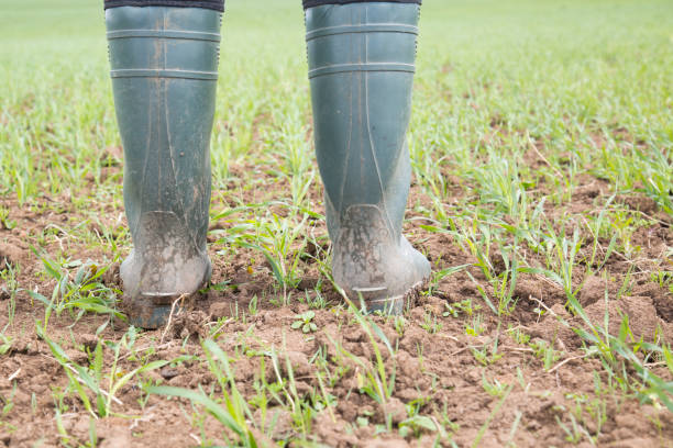 istock A farmer on a spring field in Russia 696503650