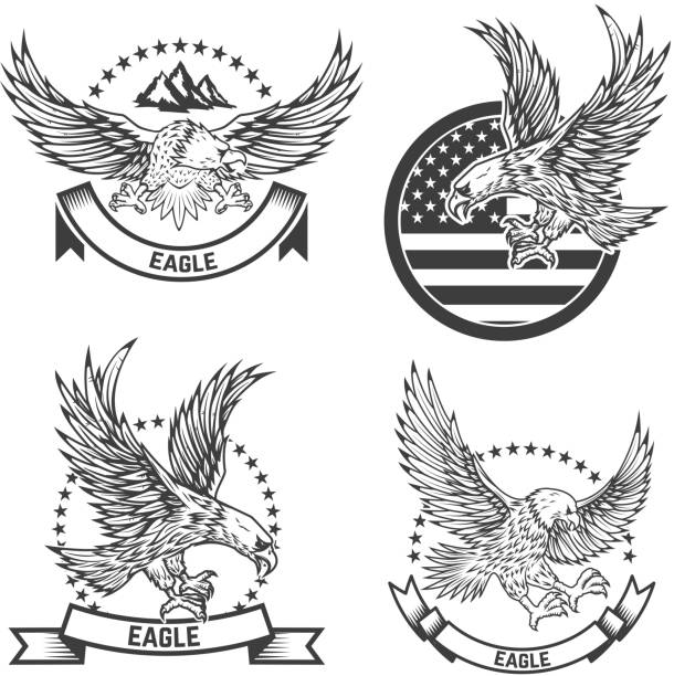 ilustraciones, imágenes clip art, dibujos animados e iconos de stock de conjunto de capa de los brazos con las águilas. elementos de diseño para la etiqueta, emblema, signo. ilustración de vector - eagles