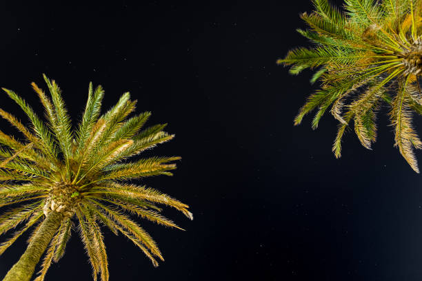 Photos taken on a starry night in the patio of my house in Puerto Rico