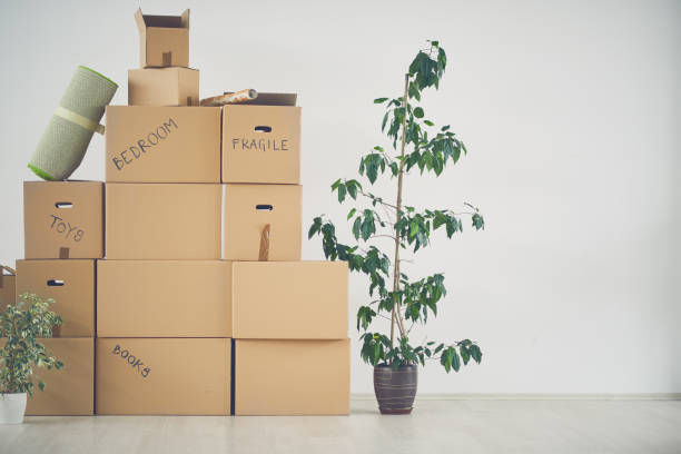 istock Unpacked boxes in new apartment 696521658