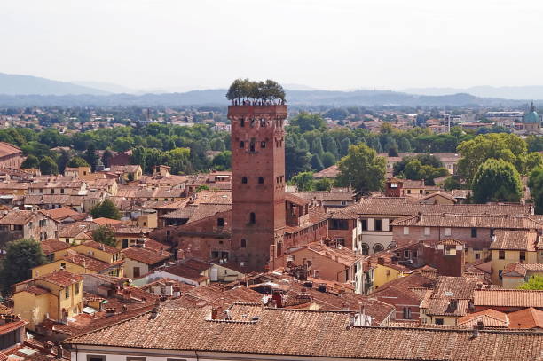 istock Guinigi Tower from the Clock Tower, Lucca 696521926