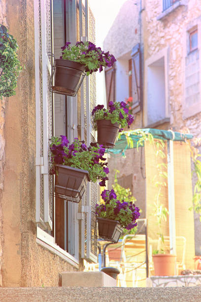 istock Tavel village, France 696524804