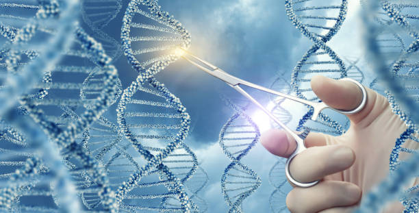 istock Doctor touched medical clamp a DNA . 696532246
