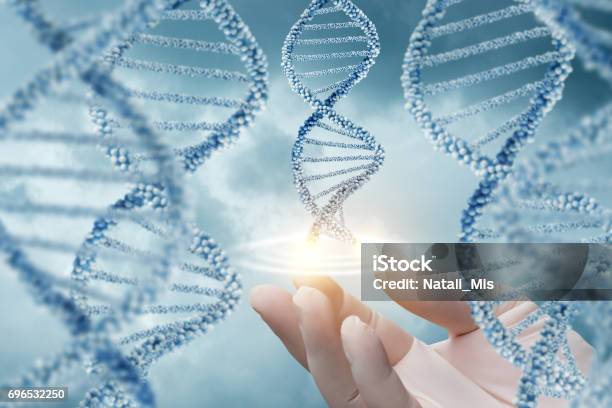Hand Im Handschuh Unterstützt Des Dnamoleküls Stockfoto und mehr Bilder von DNA - DNA, Betrachtung, Genforschung
