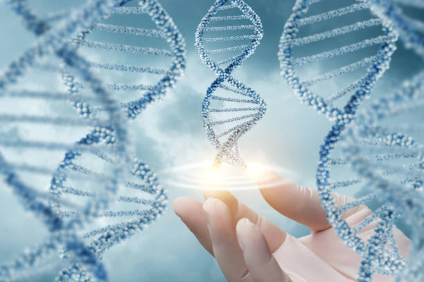 istock Hand in glove supports of the DNA molecule. 696532250