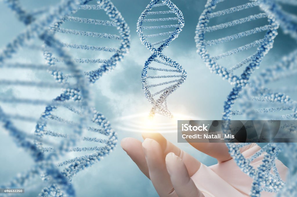 Hand in glove supports of the DNA molecule. Doctor's hand in glove supports of the DNA molecule. DNA Stock Photo