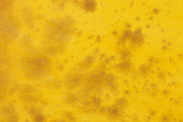 istock Yellow color abstract art background. Acrylic dye on canvas. Warm colors. Soft brushstrokes of paint. 696532998