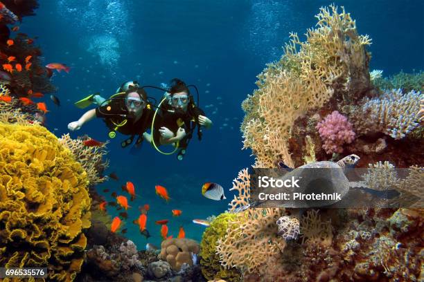 The Loving Couple Dives Among Corals And Fishes In The Ocean Stock Photo - Download Image Now