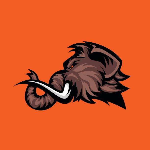 illustrations, cliparts, dessins animés et icônes de concept sport de tête mammouth laineux furieux vecteur icône isolé sur fond orange. - characters sport animal baseballs