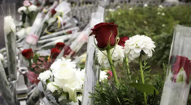 Photo of Terrorism offering flowers