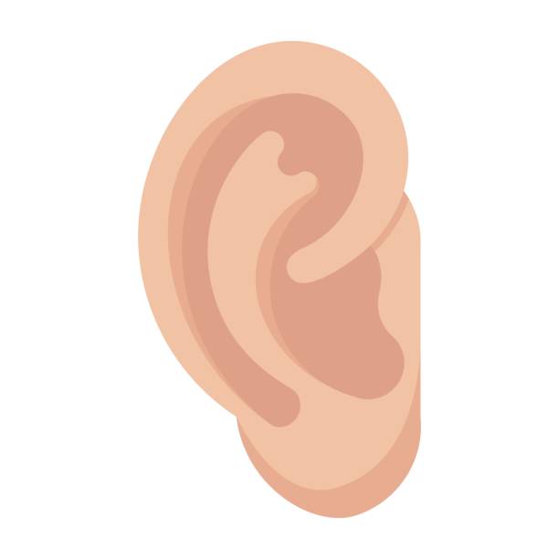 ikona wektora ucha - listening people human ear speaker stock illustrations