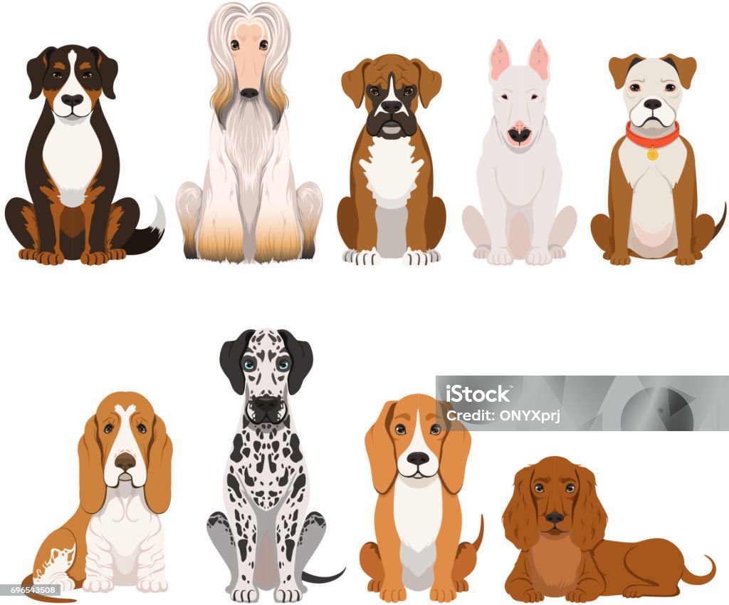 Different Breeds Of Dog Group Of Domestic Animals In Cartoon Style
