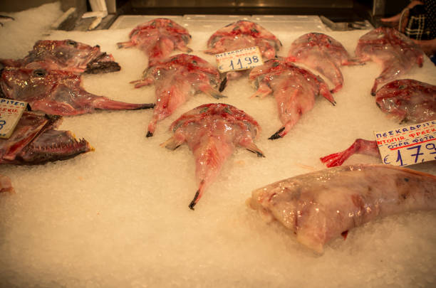 istock Fresh fish in the market 696544728