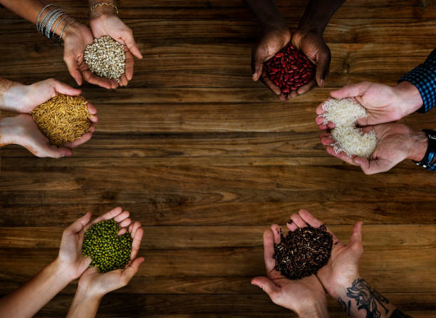 istock Hands holding different kind of seed and grain 696545020