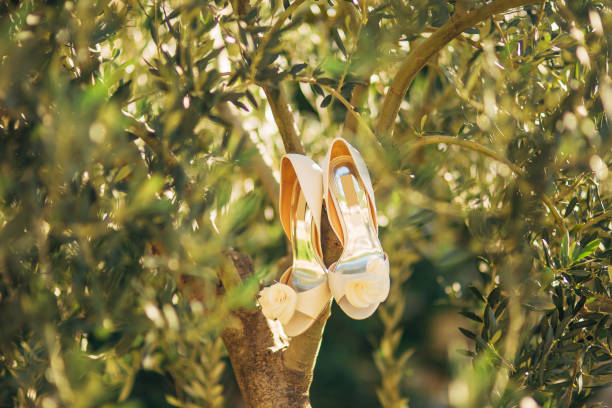 le scarpe da sposa della sposa pendono su un ramo di un ulivo - shoe groom wood luxury foto e immagini stock