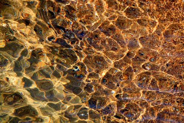 istock bottom with clear water of Lake Tahoe 696553392