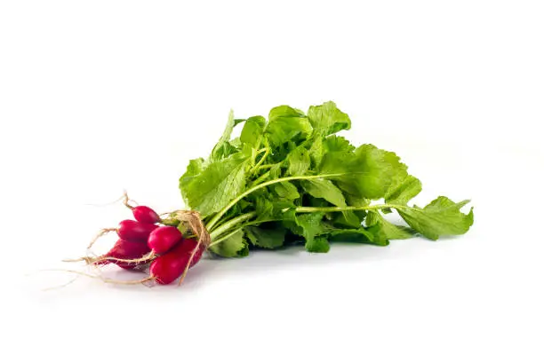 Photo of Elongated radish