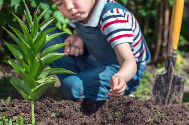 istock Seeds Planting. Boy Working At Garden 696564732