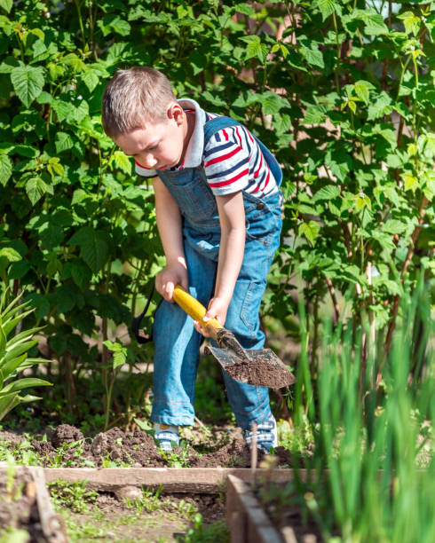istock Boy Gardener Helping At Garden 696564734